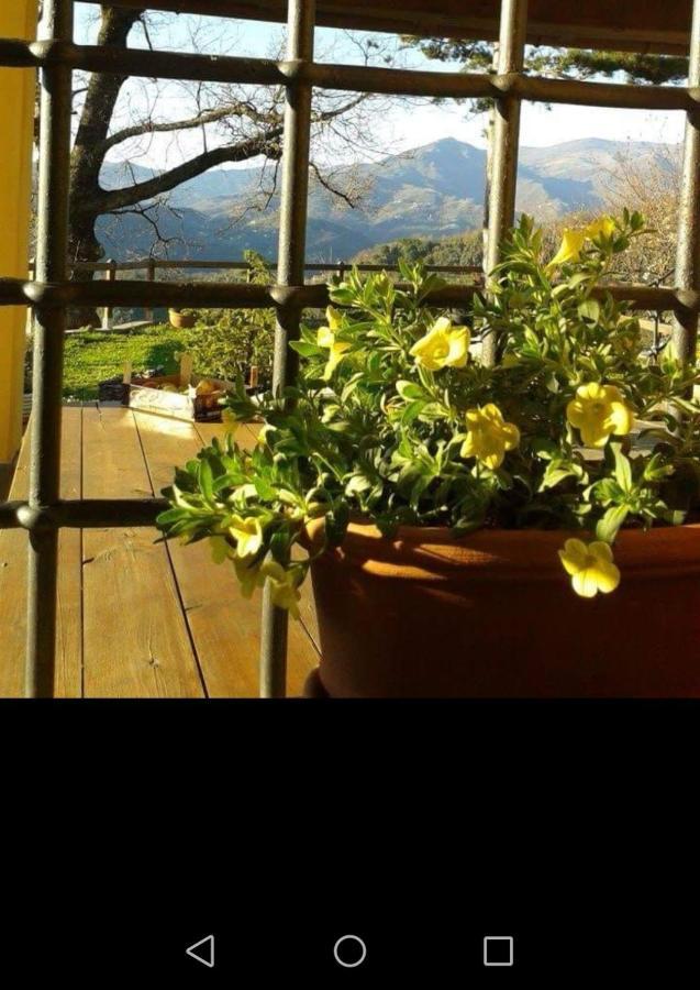 Elsa House Bed and Breakfast Mezzanego Eksteriør billede