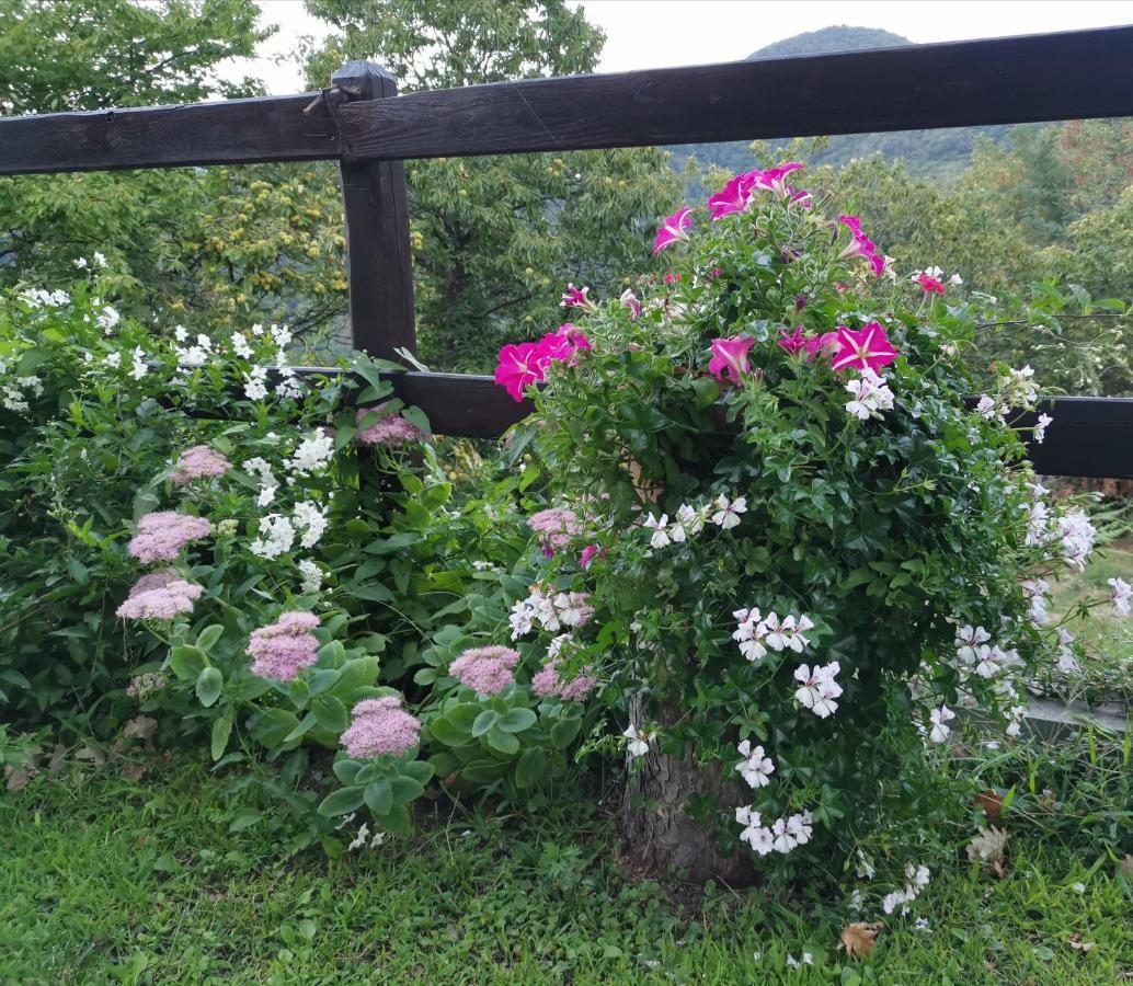 Elsa House Bed and Breakfast Mezzanego Eksteriør billede