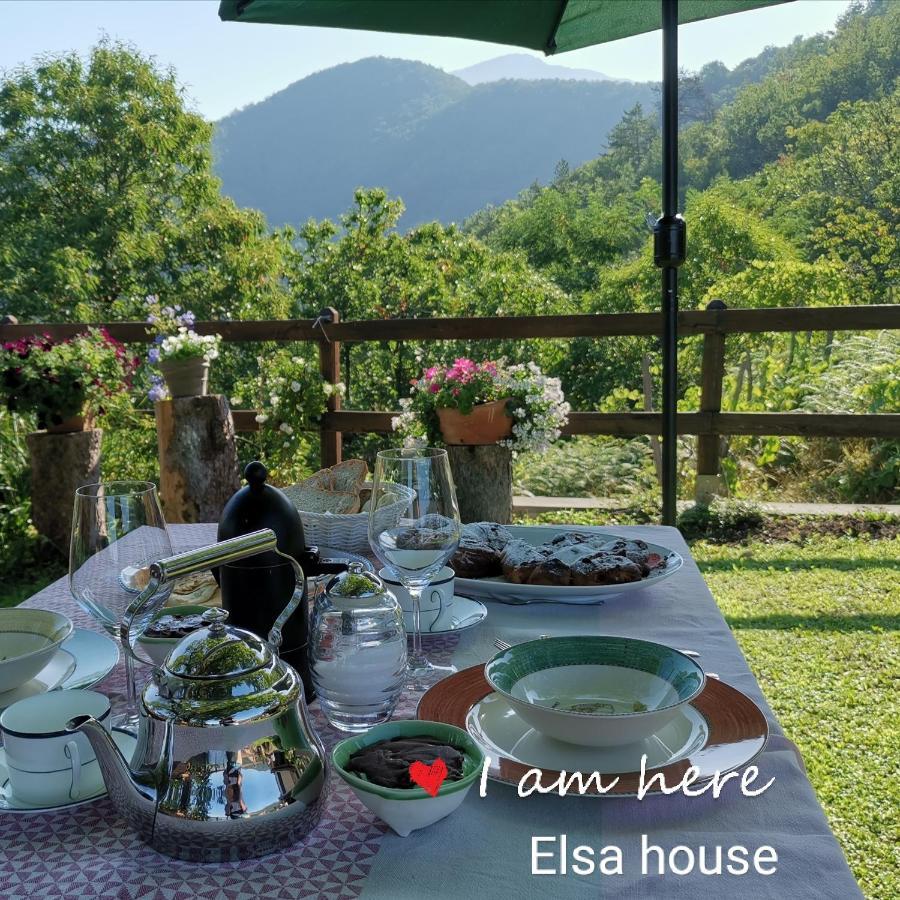Elsa House Bed and Breakfast Mezzanego Eksteriør billede